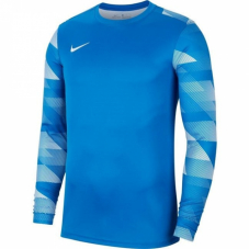 Воротарський реглан Nike Dry Park IV Goalkeeper Jersey Long Sleeve CJ6066-463