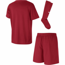 Комплект дитячої футбольної форми Nike JR Lk Dry Park 20 Kit Set CD2244-657