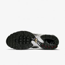 Кросівки Nike Air Max Plus Premium 852630-031