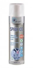 Заморзка HTA Spray Ice WP-500