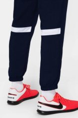 Тренировочные штаны Nike Dri Fit Academy CW6128-451