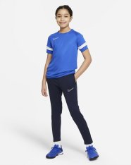 Тренировочные штаны детские Nike Dri-FIT Academy CW6124-451