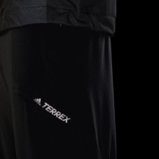 Спортивні штани Adidas Terrex Hike DZ2042