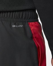 Спортивні штани Jordan Sport Dri-FIT DH9073-010