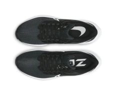 Кросівки бігові Nike Air Zoom Pegasus 39 DH4071-001