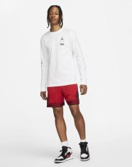 Реглан Jordan Flight Team Masculina DH8944-100