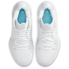 Кросівки для баскетболу Jordan Zoom Individual DH0249-141