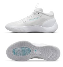 Кросівки для баскетболу Jordan Zoom Individual DH0249-141