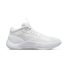 Кросівки для баскетболу Jordan Zoom Individual DH0249-141