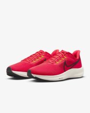 Кроссовки беговые Nike Air Zoom Pegasus 39 DH4071-600