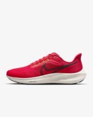 Кроссовки беговые Nike Air Zoom Pegasus 39 DH4071-600