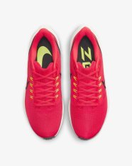 Кроссовки беговые Nike Air Zoom Pegasus 39 DH4071-600