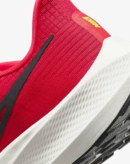 Кроссовки беговые Nike Air Zoom Pegasus 39 DH4071-600