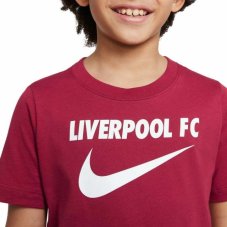 Футболка дитяча Nike Liverpool Fc Swoosh DJ1535-608