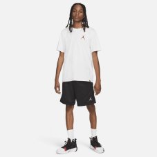 Шорти баскетбольні Jordan Practice AR4315-010