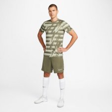 Шорти Nike Dri-FIT Academy CW6107-222
