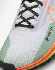 Кросівки бігові Nike Pegasus Trail 4 GORE-TEX DJ7926-500