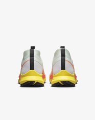 Кросівки бігові Nike Pegasus Trail 4 GORE-TEX DJ7926-500