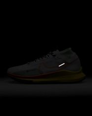 Кросівки бігові Nike Pegasus Trail 4 GORE-TEX DJ7926-500