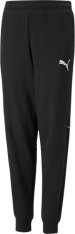 Спортивные штаны детские Puma Active Sports Sweatpants 67007601