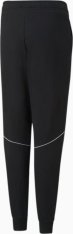 Спортивные штаны детские Puma Active Sports Sweatpants 67007601
