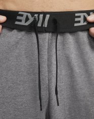 Спортивні штани Nike Dri-FIT CU6775-071
