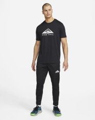 Спортивные штаны Nike Dri-FIT Phenom Elite DM4654-010