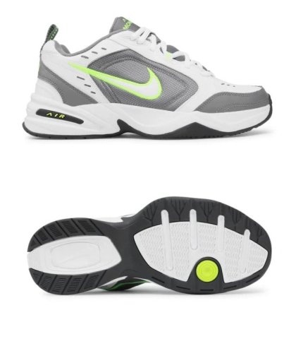 Кросівки Nike Air Monarch IV 415445-100