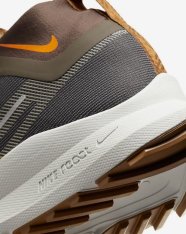 Кроссовки Nike Pegasus Trail 4 GORE-TEX FD5841-001