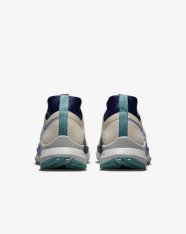 Кроссовки Nike Pegasus Trail 4 GORE-TEX DJ7926-100