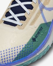 Кроссовки Nike Pegasus Trail 4 GORE-TEX DJ7926-100