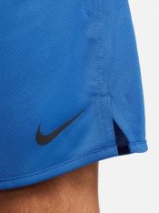 Шорты Nike Totality Knit DV9328-480