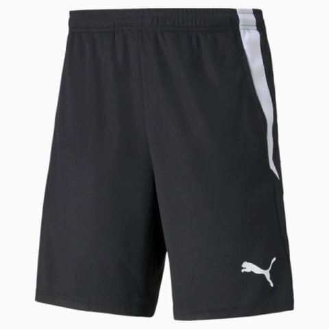 Шорти Puma teamLIGA Training Shorts 2 65766703