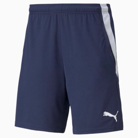 Шорти Puma teamLIGA Training Shorts 2 65766706