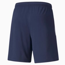 Шорти Puma teamLIGA Training Shorts 2 65766706
