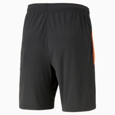 Шорти Puma teamLIGA Training Shorts 2 65766750