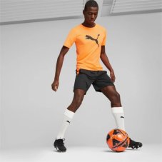 Шорти Puma teamLIGA Training Shorts 2 65766750