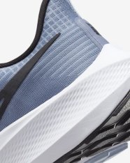 Кросівки бігові Nike Pegasus 39 DH4071-401