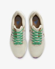 Кросівки бігові Nike Pegasus 39 Premium DV8922-100