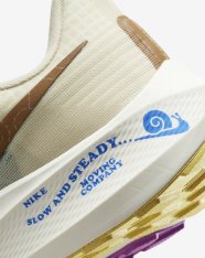 Кросівки бігові Nike Pegasus 39 Premium DV8922-100