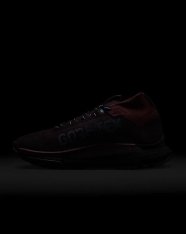 Кроссовки женские Nike Pegasus Trail 4 GORE-TEX FD0875-600