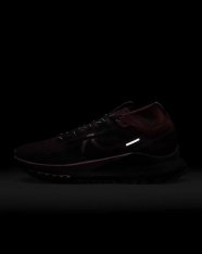 Кроссовки женские Nike Pegasus Trail 4 GORE-TEX FD0875-600