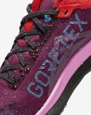 Кроссовки женские Nike Pegasus Trail 4 GORE-TEX FD0875-600