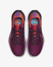 Кроссовки женские Nike Pegasus Trail 4 GORE-TEX FD0875-600