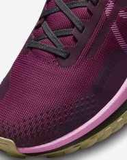 Кроссовки женские Nike Pegasus Trail 4 GORE-TEX FD0875-600