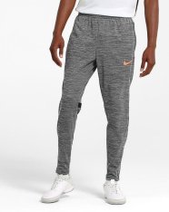 Тренувальні штани Nike Dri-FIT Academy DQ5057-011
