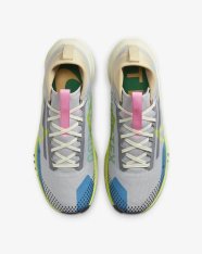Кросівки бігові Nike Pegasus Trail 4 GORE-TEX DJ7926-002