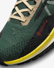 Кроссовки беговые Nike Pegasus Trail 4 GORE-TEX FD0317-333