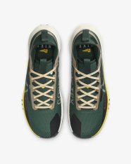 Кроссовки беговые Nike Pegasus Trail 4 GORE-TEX FD0317-333