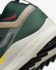 Кроссовки беговые Nike Pegasus Trail 4 GORE-TEX FD0317-333